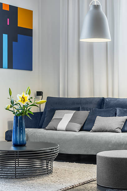 Cozy living room with sofa 